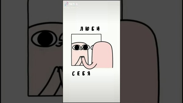Популярные обои из тик тока