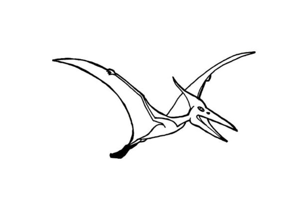 Птеродактиль рисунок