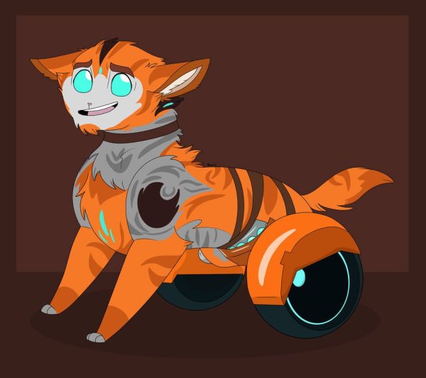 Кот трансформер