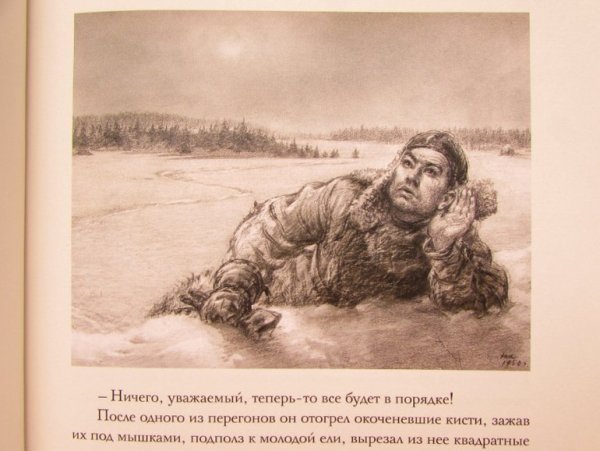 Повесть о настоящем человеке иллюстрации к книге полевой