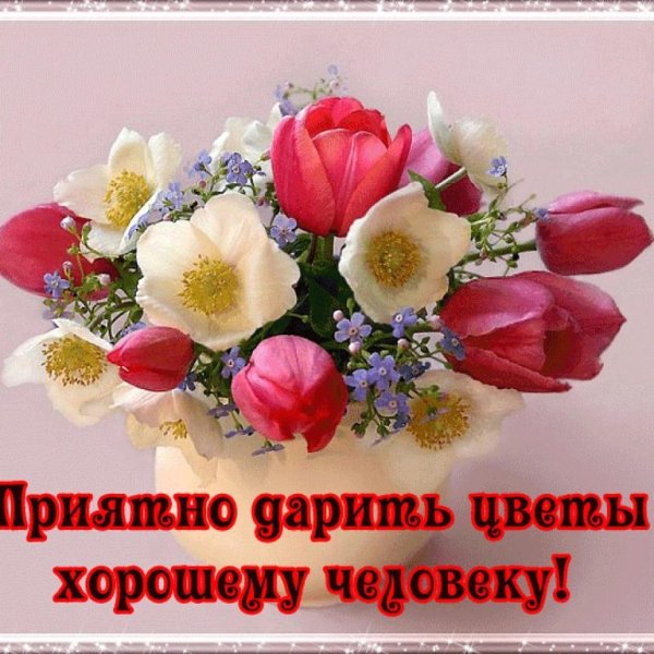 Цветы хорошему человеку
