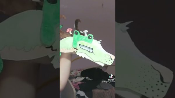 Драконы из тик тока