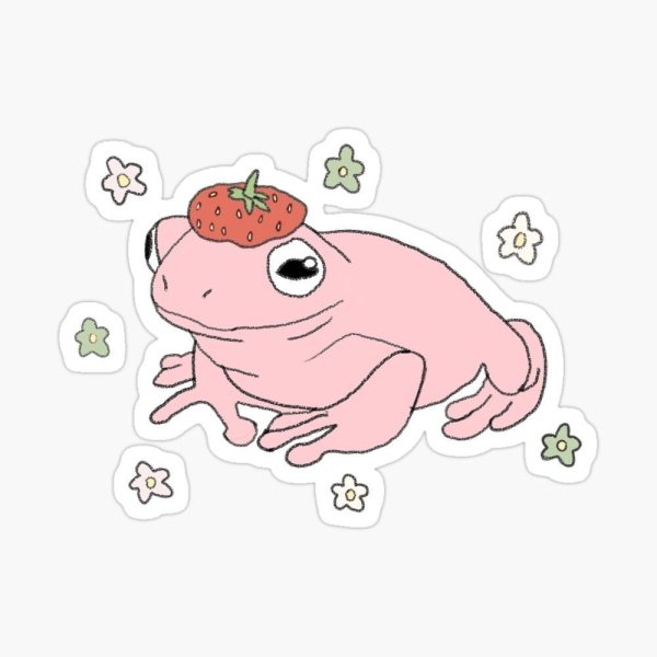 Эстетика лягушки инди КИД