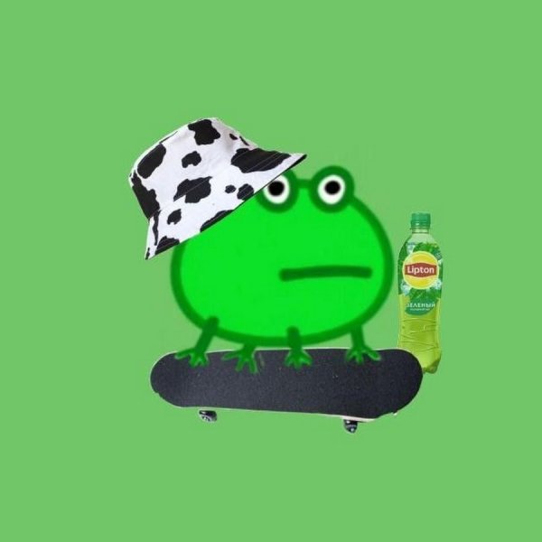 Лягушка из тик тока
