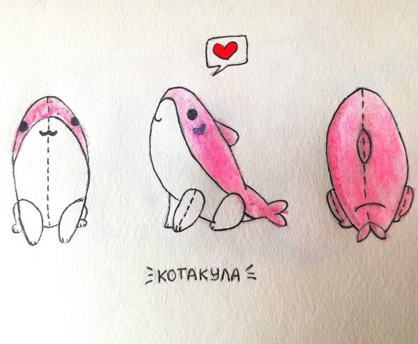 Рисунки из тик тока для срисовки