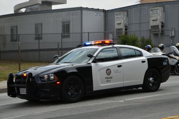 Dodge Charger LAPD 14
