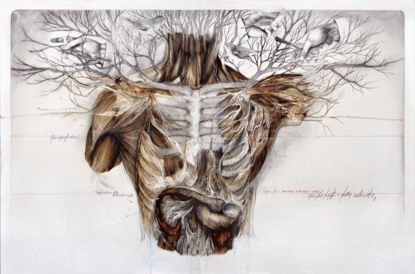 Художник Nunzio paci
