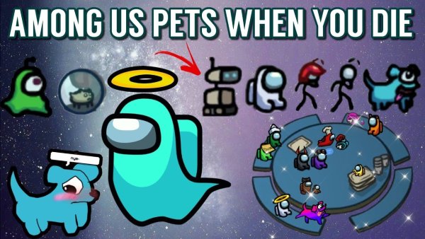 Among us питомцы