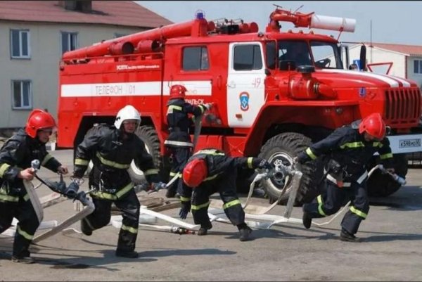 ГПС МЧС России (пожарная охрана)