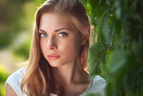 Lods Franck Cassandra