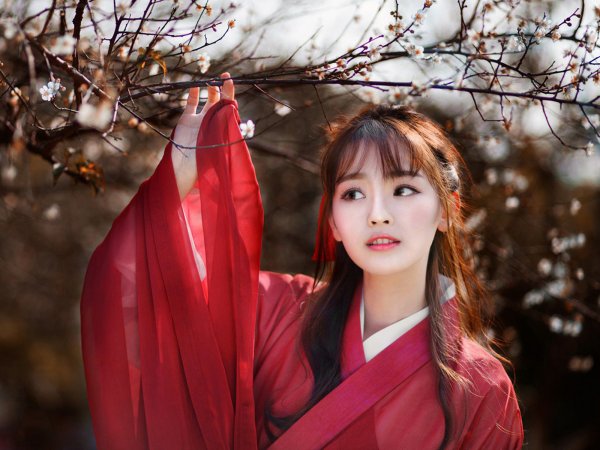 Li Jiao модель