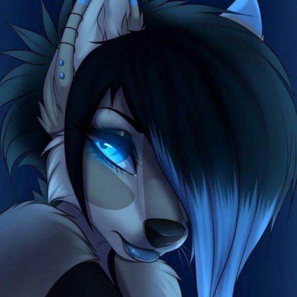 Furry gradiewoof