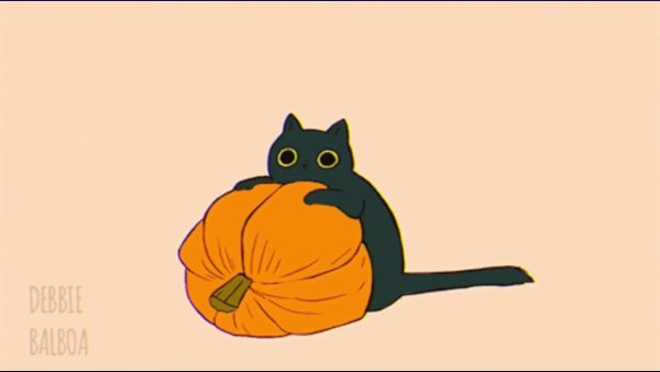 Гифка Хэллоуин котик