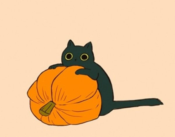 Кошка арт гиф