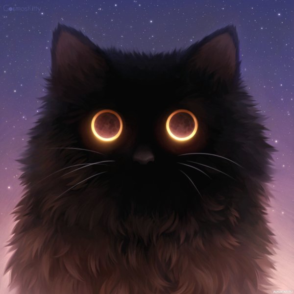 Кот арт
