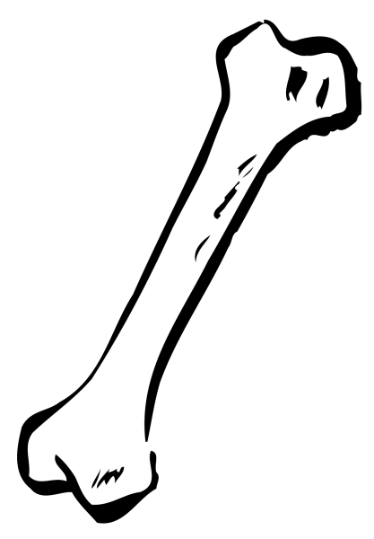 Кость рисовать