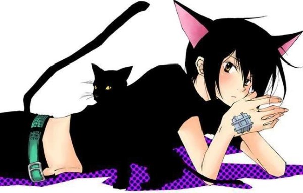 Анимешные люди коты