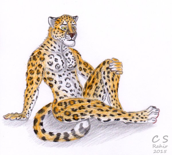 Леопард красивые позы