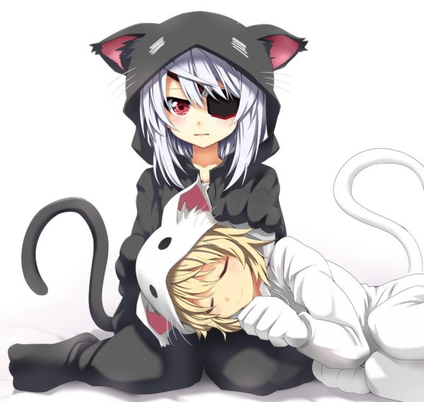 Лаура Бодевиг кошка
