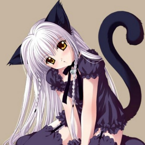 3 Анимешки девочки кошечки