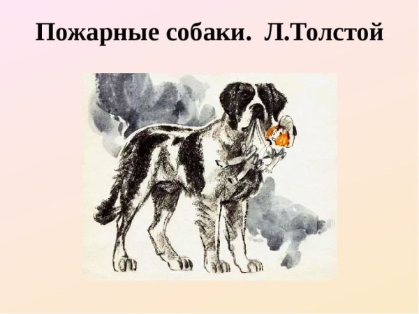 Иллюстрации к рассказу пожарные собаки л Толстого