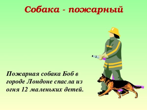 Рассказ пожарные собаки