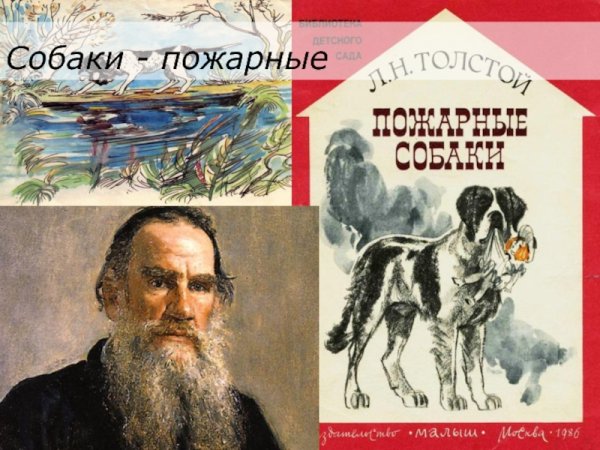 Книга л. Толстого пожарные собаки