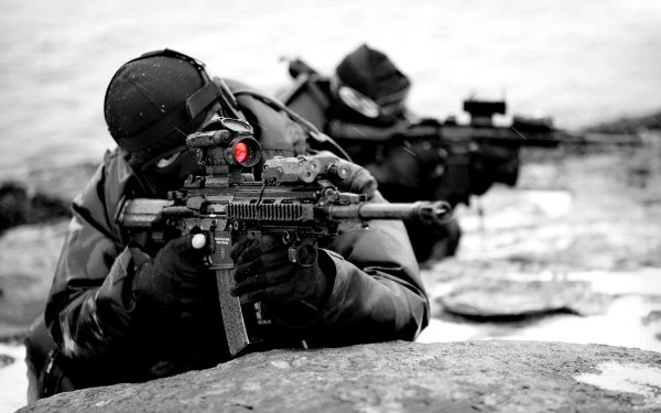 Aimpoint Navy Seal