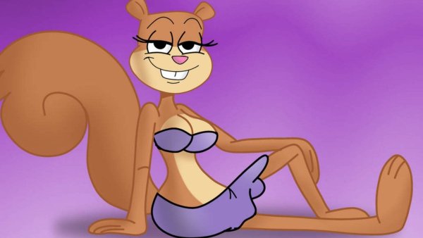 Сэнди чикс 2005