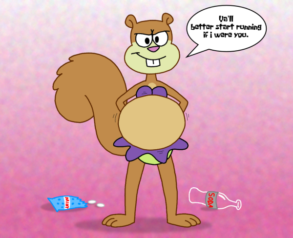 Сэнди Sandy Cheeks