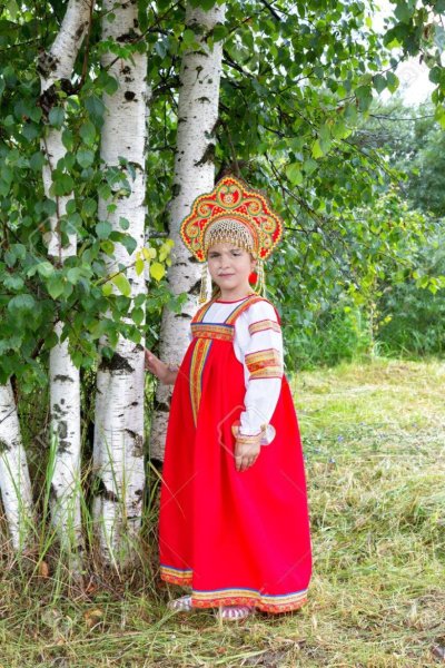 Береза русская красавица