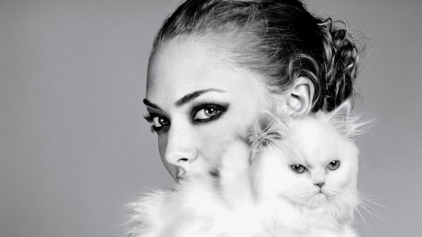 Аманда Сейфрид фотосессия с кошкой