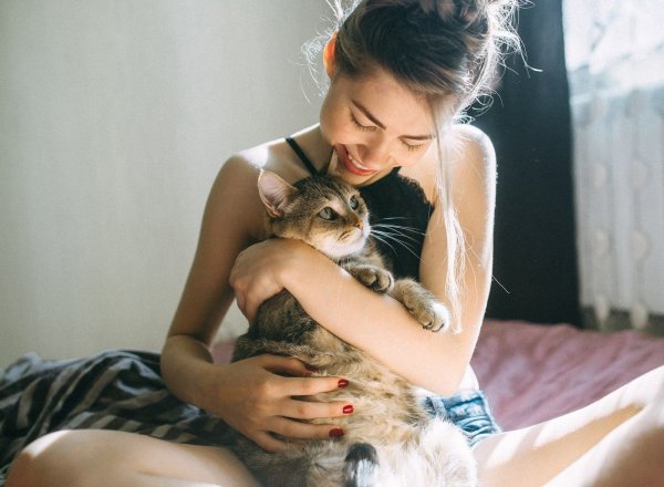Красивая девушка с кошкой