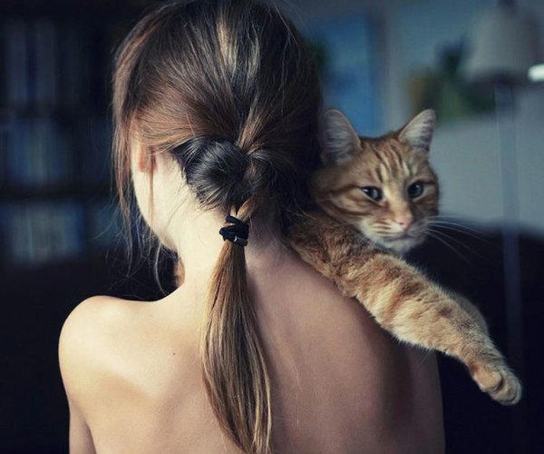 Девушка с котом