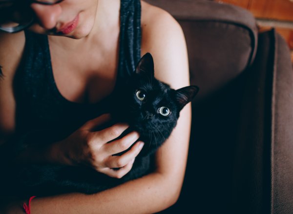 Девушка кошечка