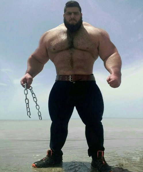 Халк Саджад гариби
