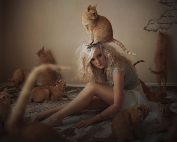 Мария Бровкина