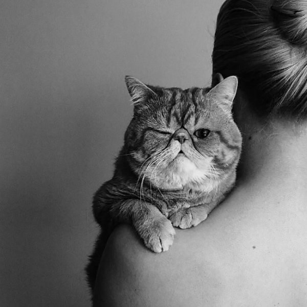 Девушка с котом на плече