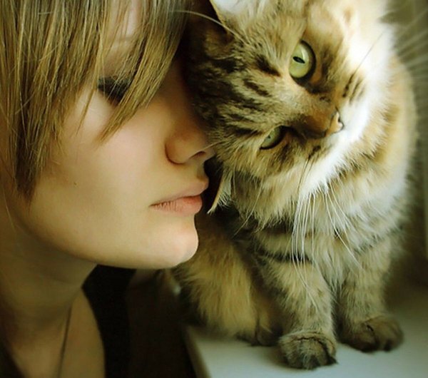 Кот жалеет