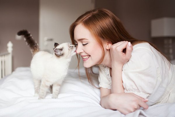 Девушка с котом