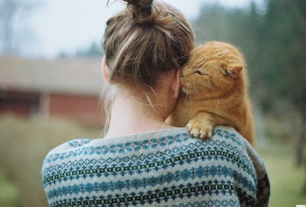 Девушка с котом