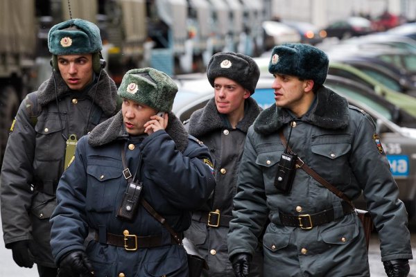 Полицейские войска