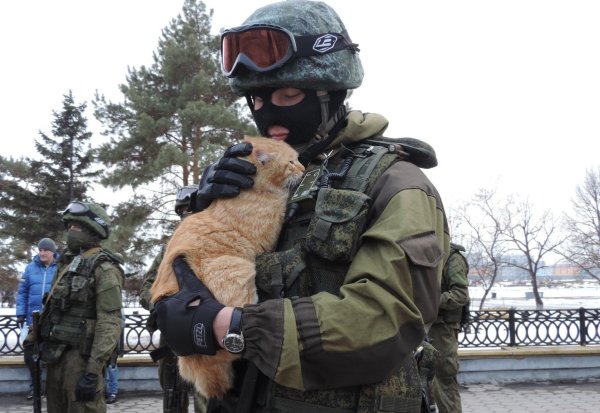 Вежливые люди