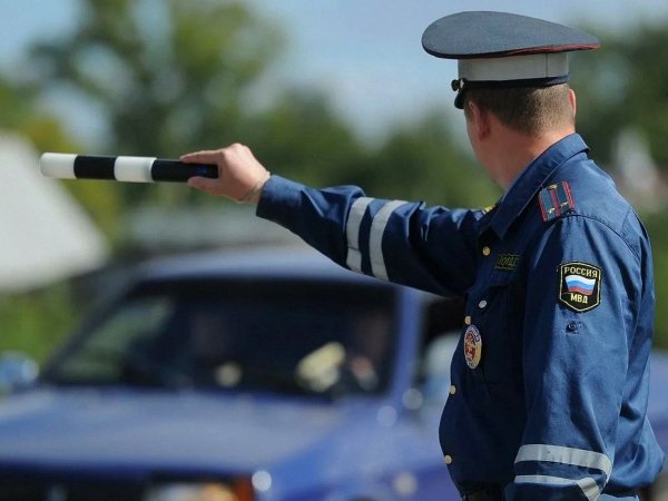 Инспектор ДПС на дороге