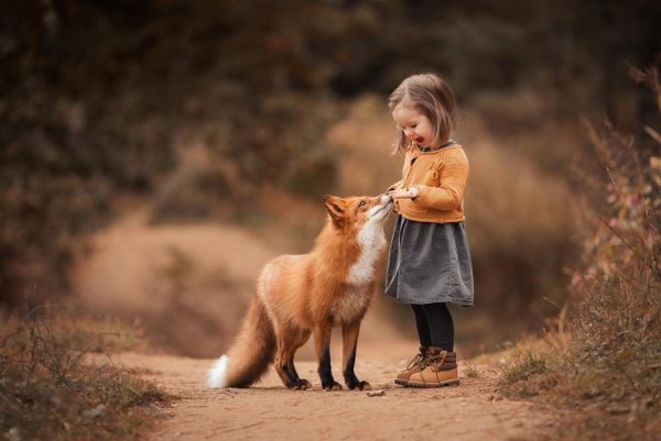 Дети природа животные