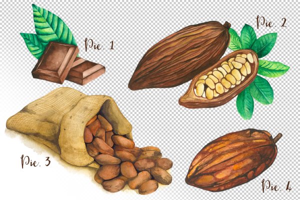 Арты какао бобы (33 фото)