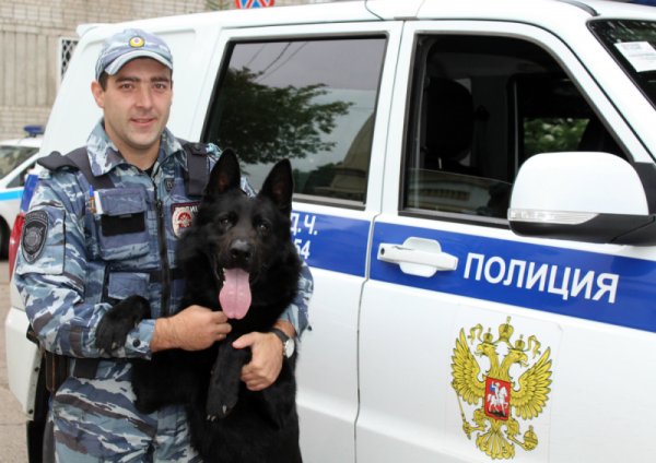 Полиция с собакой