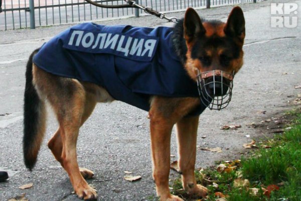 Полицейский с собакой