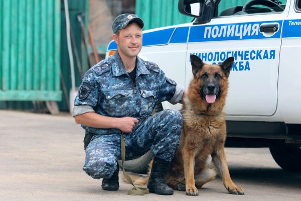 Полицейская овчарка Мухтар