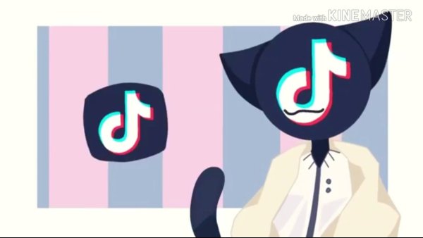 Кот тик ток
